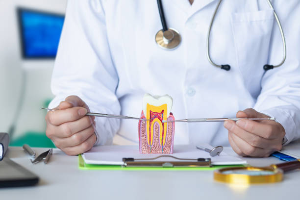 Best Weekend Emergency Dentist in Perryton, TX